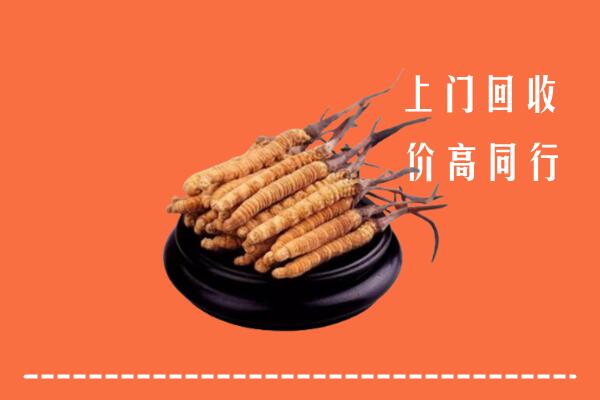高价求购：南昌市回收散虫草